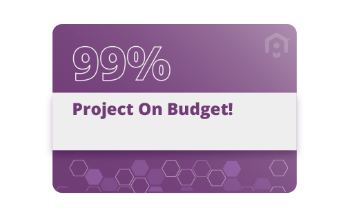 99% Project on Budget